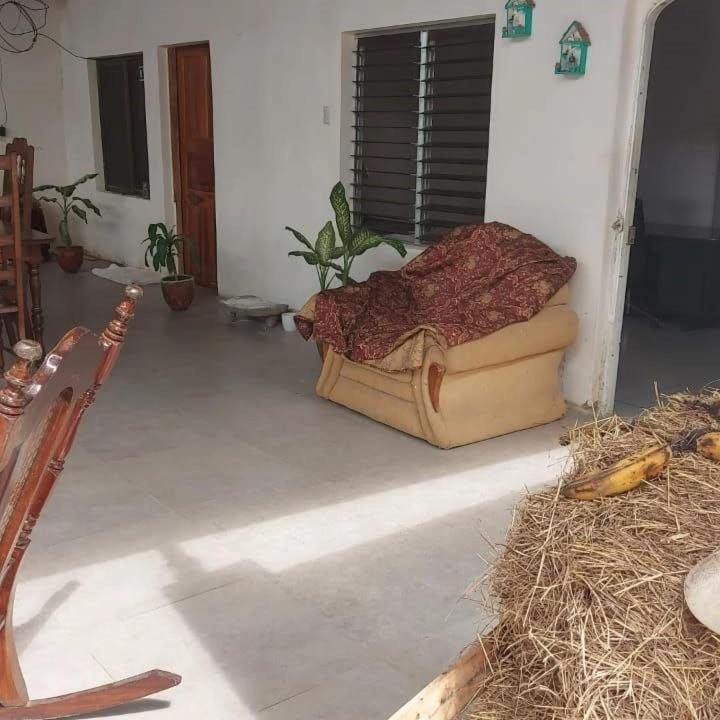 Hostal Brisas Del Ometepe 리바스 외부 사진